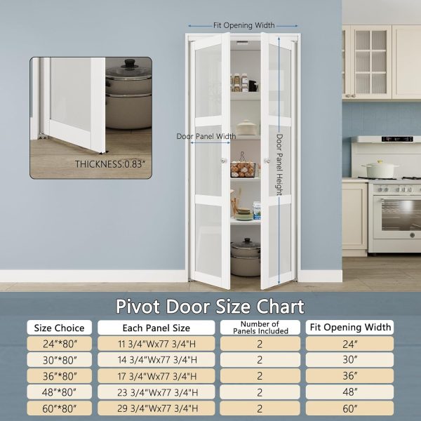 WIN STELLAR French Pivot Door Glass Modern Interior-1