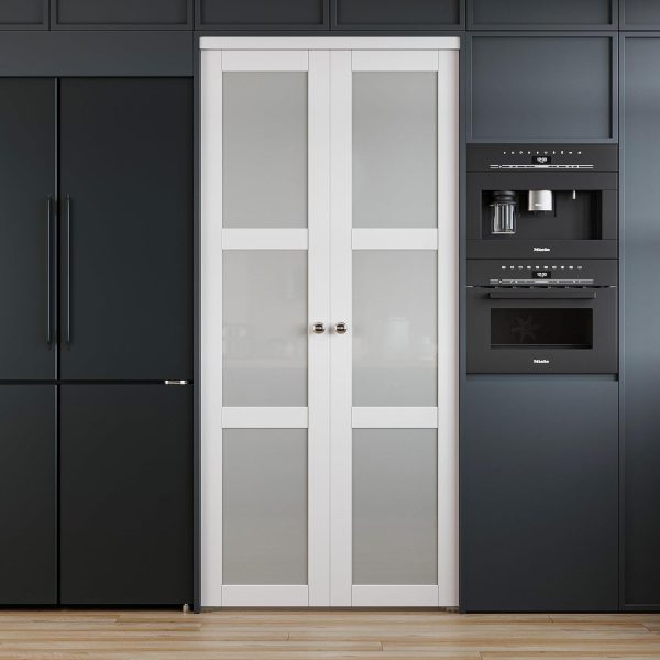 WIN STELLAR French Pivot Door Glass Modern Interior-2