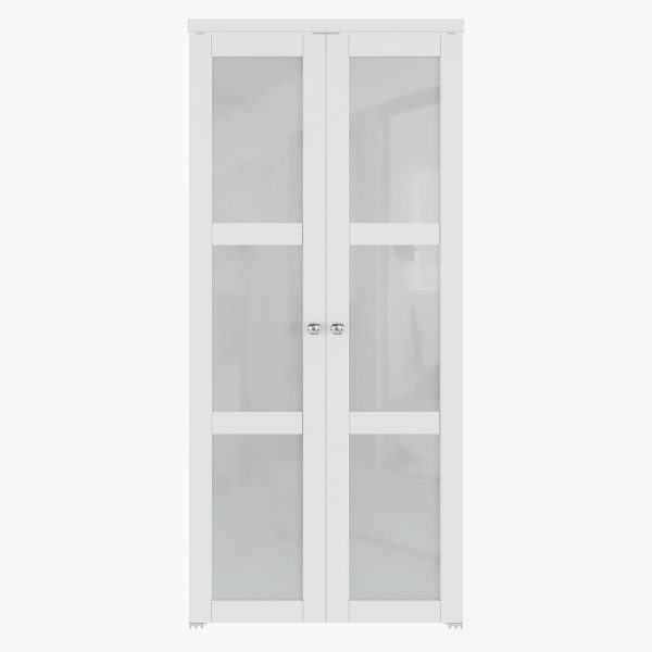 WIN STELLAR French Pivot Door Glass Modern Interior-3