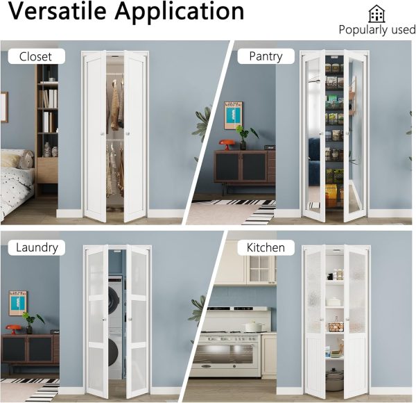 WIN STELLAR French Pivot Door Glass Modern Interior-7