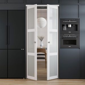 WIN STELLAR French Pivot Door Glass Modern Interior-0
